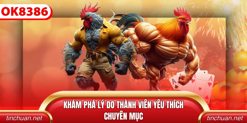 Khám phá lý do thành viên yêu thích chuyên mục