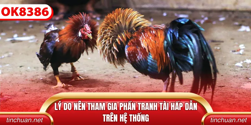 Lý do nên tham gia phần tranh tài hấp dẫn trên hệ thống